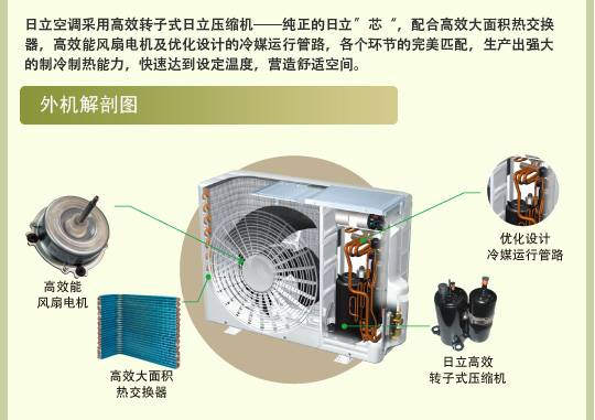 91香蕉视频IOS特性